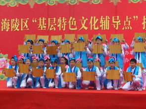 区基层特色文化辅导站授牌活动暨文艺演出在罡杨学校隆重举办